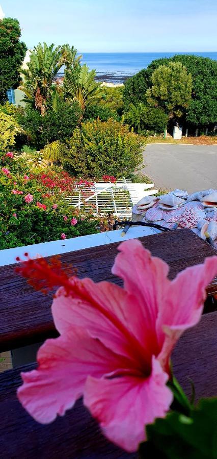 Belle Vue Guesthouse Hermanus Dış mekan fotoğraf