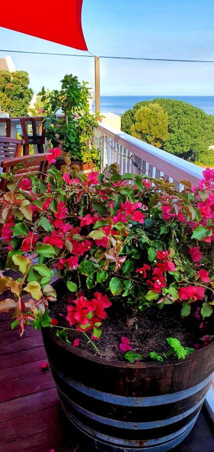 Belle Vue Guesthouse Hermanus Dış mekan fotoğraf