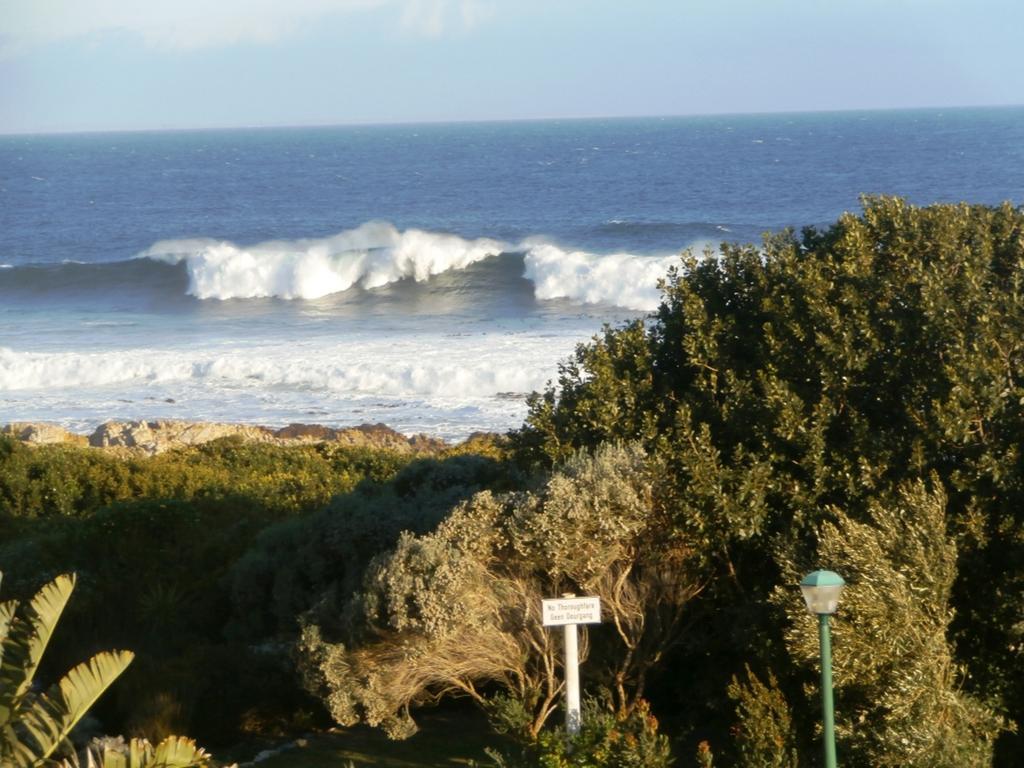 Belle Vue Guesthouse Hermanus Dış mekan fotoğraf