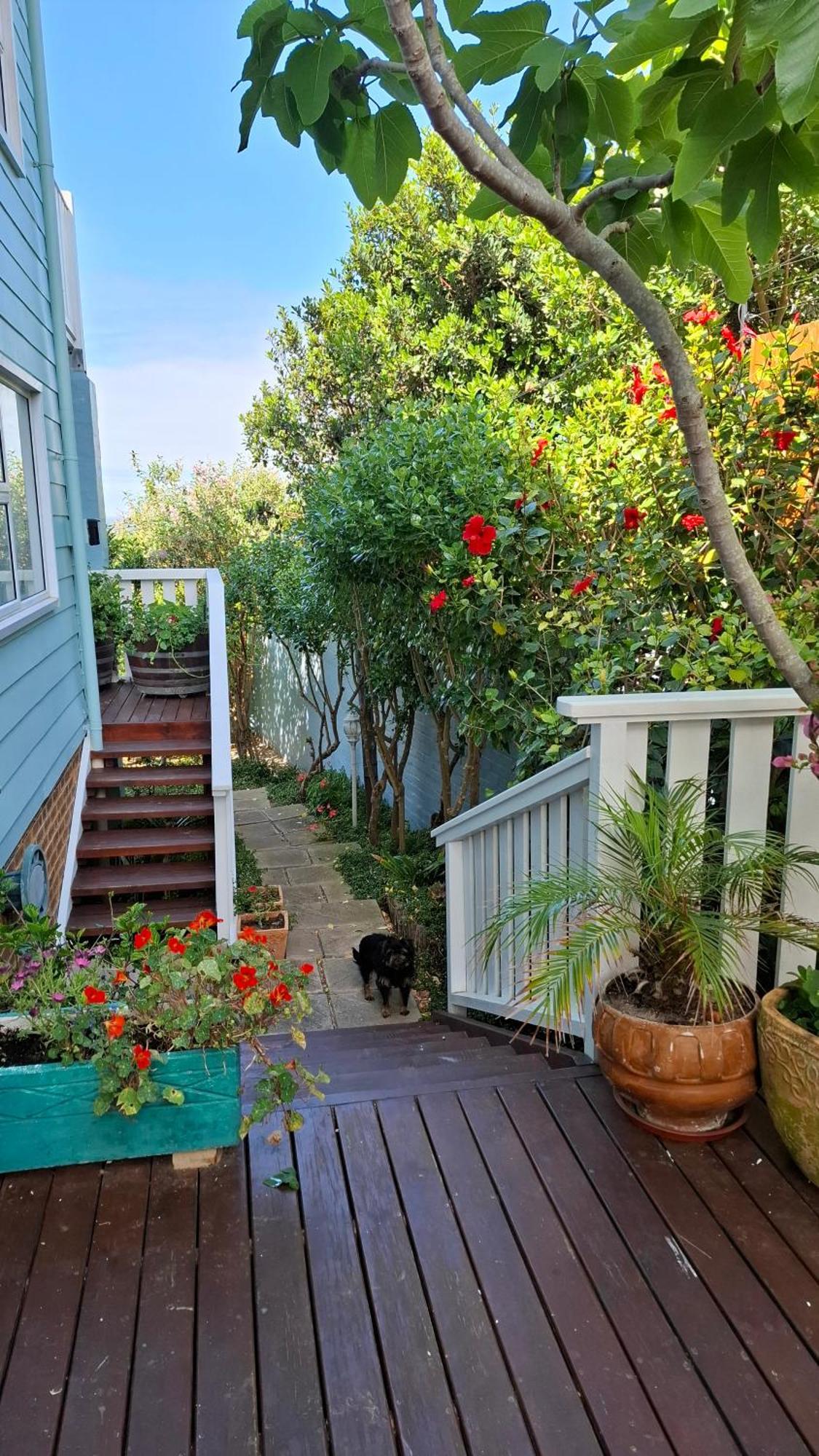 Belle Vue Guesthouse Hermanus Dış mekan fotoğraf