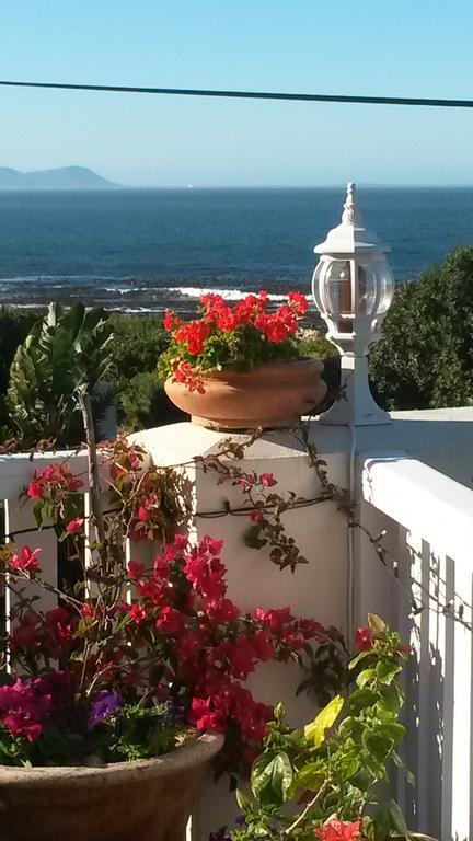 Belle Vue Guesthouse Hermanus Dış mekan fotoğraf