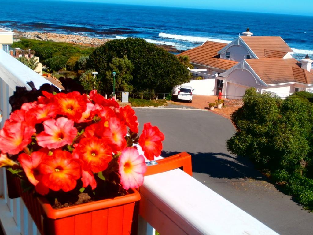 Belle Vue Guesthouse Hermanus Dış mekan fotoğraf