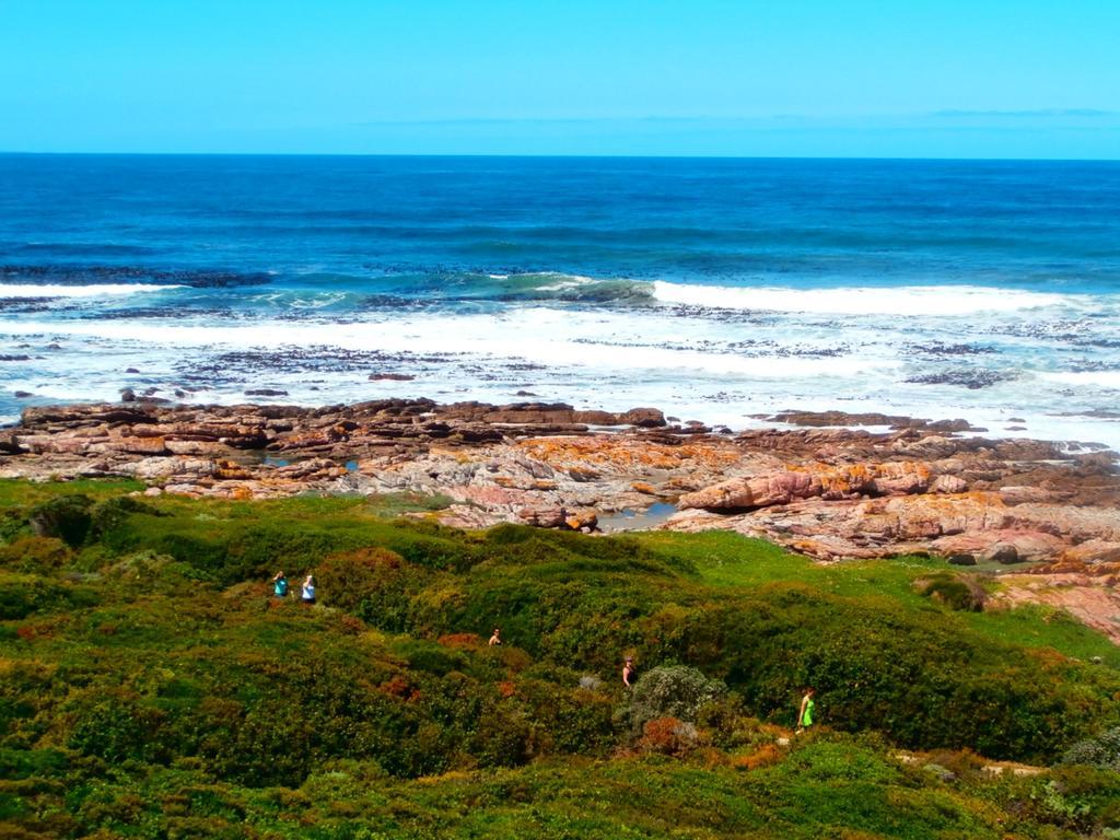 Belle Vue Guesthouse Hermanus Dış mekan fotoğraf