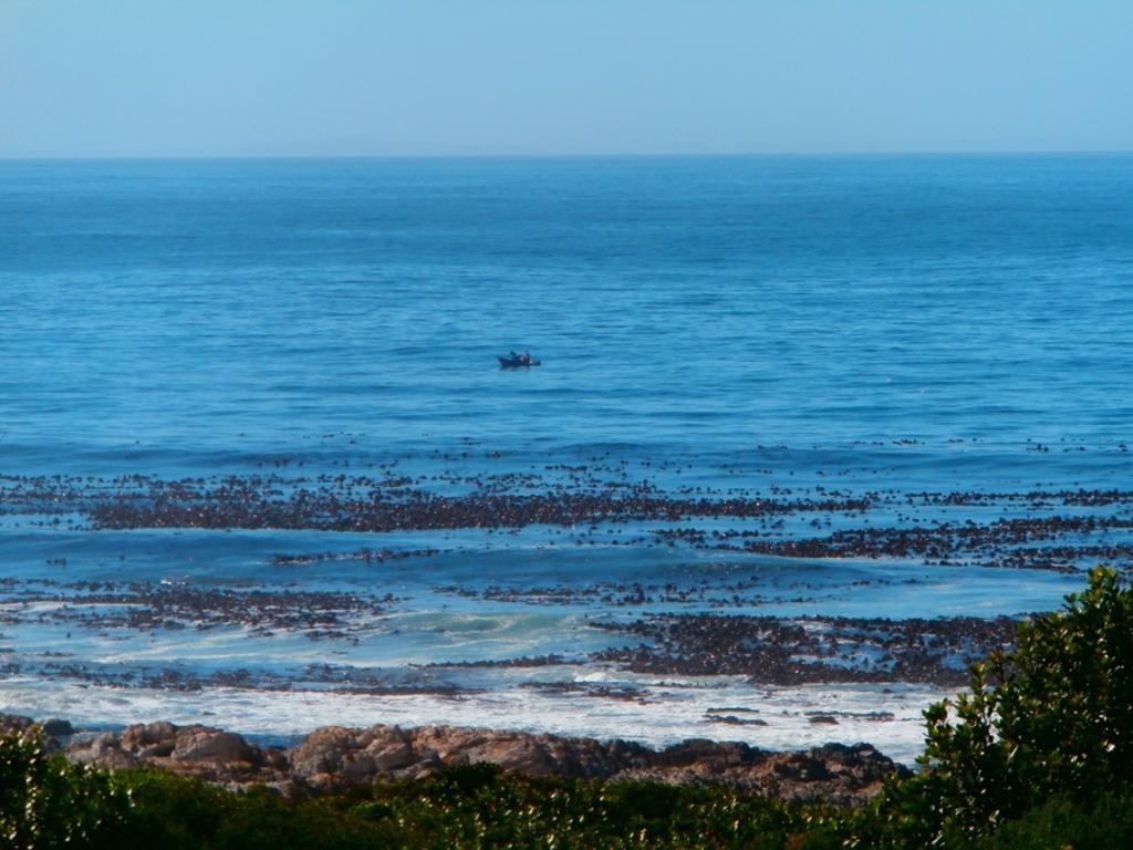 Belle Vue Guesthouse Hermanus Dış mekan fotoğraf