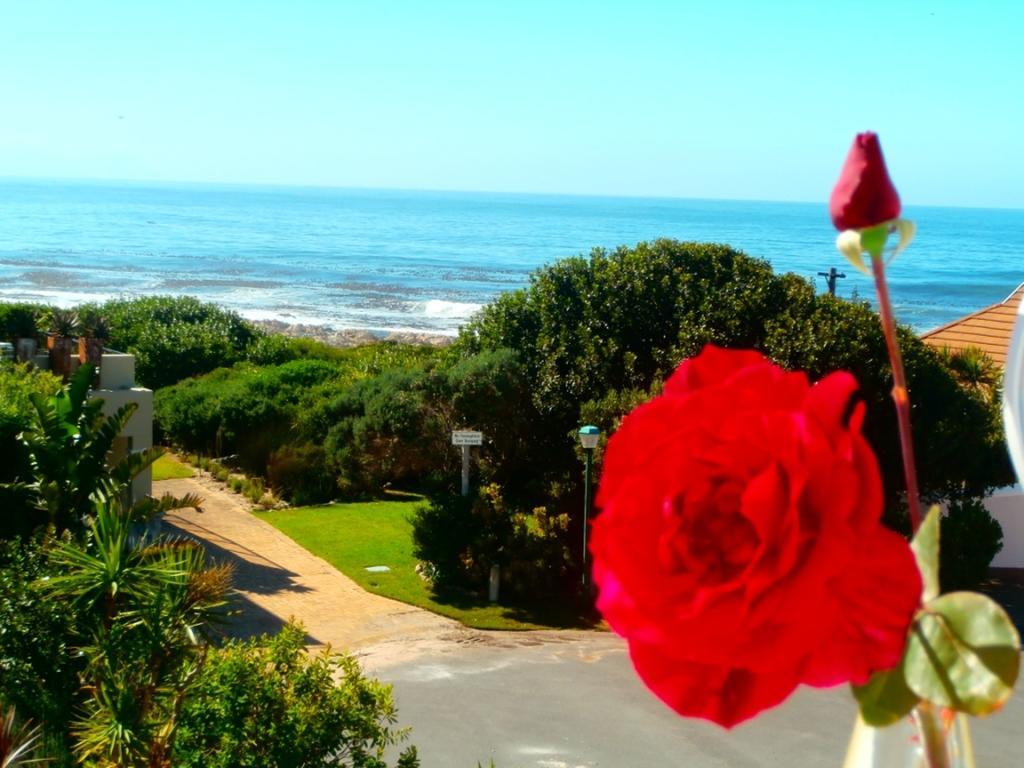 Belle Vue Guesthouse Hermanus Dış mekan fotoğraf