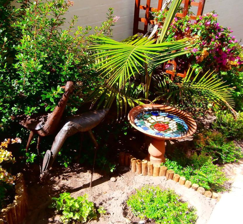 Belle Vue Guesthouse Hermanus Dış mekan fotoğraf